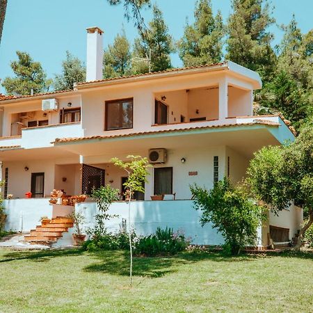 סאני ביץ' Forest House Near The Sea מראה חיצוני תמונה