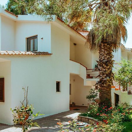 סאני ביץ' Forest House Near The Sea מראה חיצוני תמונה