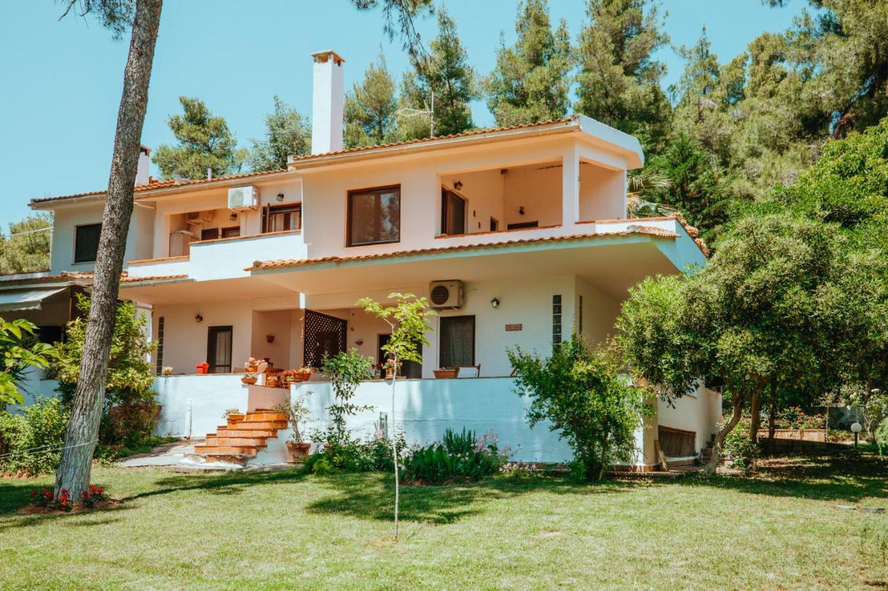 סאני ביץ' Forest House Near The Sea מראה חיצוני תמונה