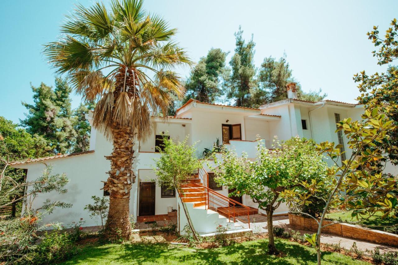 סאני ביץ' Forest House Near The Sea מראה חיצוני תמונה