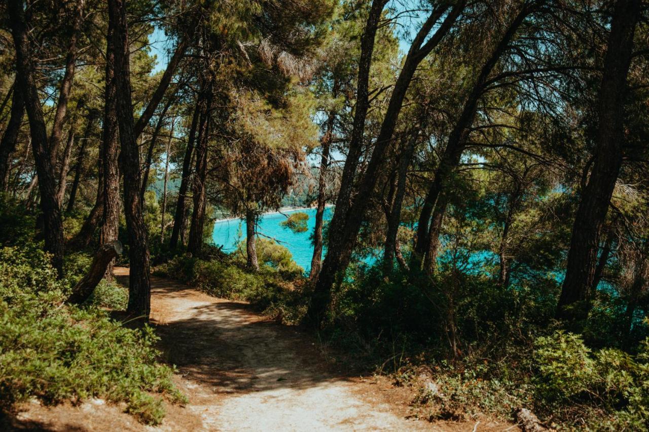 סאני ביץ' Forest House Near The Sea מראה חיצוני תמונה