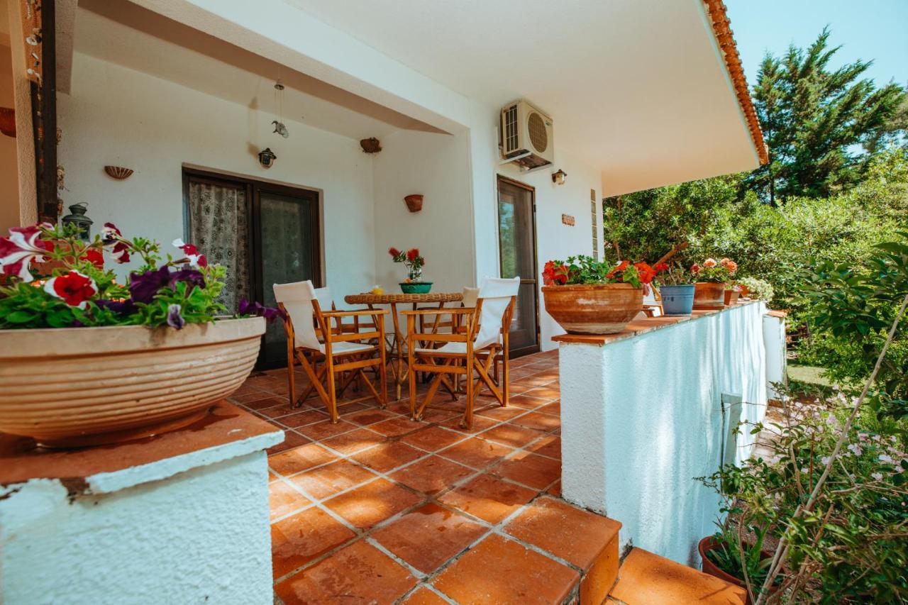 סאני ביץ' Forest House Near The Sea מראה חיצוני תמונה