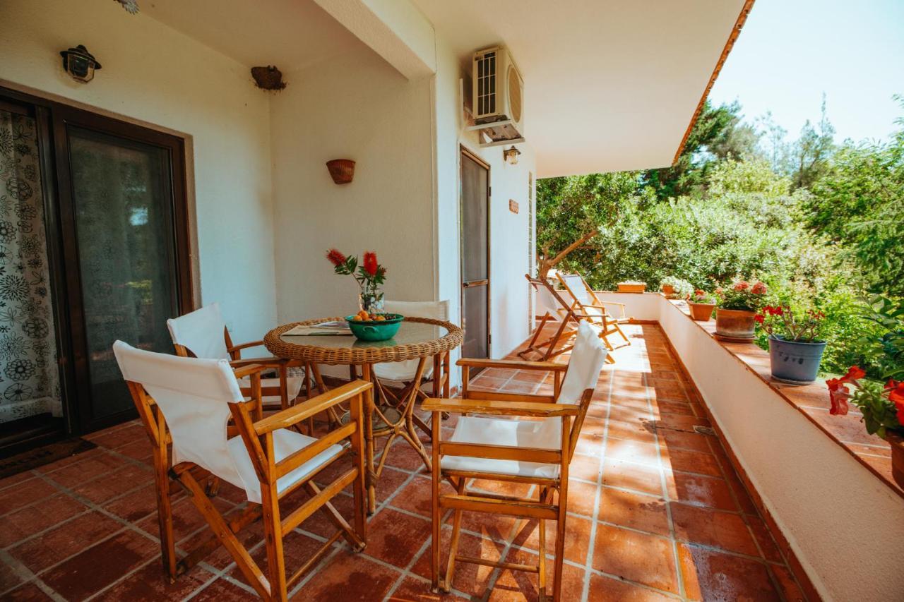 סאני ביץ' Forest House Near The Sea מראה חיצוני תמונה