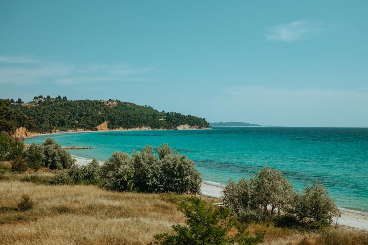סאני ביץ' Forest House Near The Sea מראה חיצוני תמונה