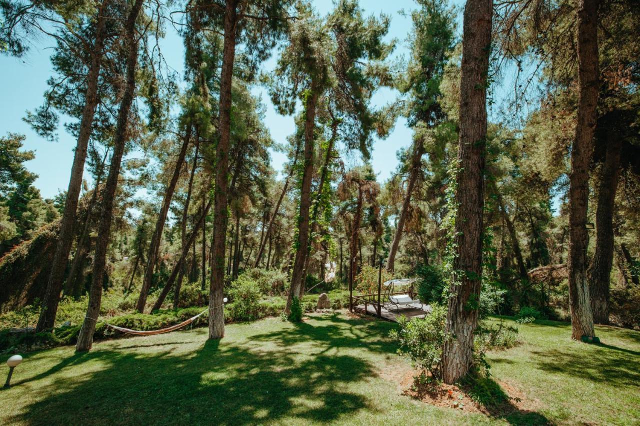 דירות סאני ביץ' Forest House Near The Sea מראה חיצוני תמונה